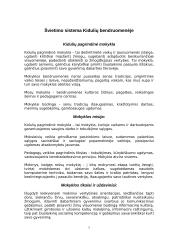 Socialiniai informatikos aspektai Kiduliuose 7 puslapis