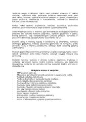 Socialiniai informatikos aspektai Kiduliuose 8 puslapis