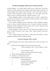 Socialinio pedagogo darbas kaimo bendruomenėje 4 puslapis