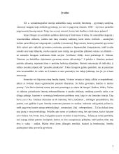 Socialinis darbas su senais žmonėmis: metodai ir formos 3 puslapis