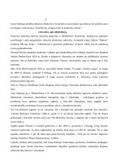 Socialinis darbuotojas ir rizikos grupės asmenys 4 puslapis