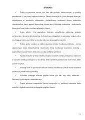 Socialinis pedagoginis darbas su vaikų šeimomis, teikiant socialinę – pedagoginę pagalbą 16 puslapis