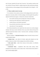 Socialinis pedagoginis darbas su vaikų šeimomis, teikiant socialinę – pedagoginę pagalbą 6 puslapis