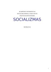Kas yra socializmas? Socializmo evoliucijos kelias, raida. Socializmo idealogijos