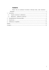 Kas yra socializmas? Socializmo evoliucijos kelias, raida. Socializmo idealogijos 2 puslapis