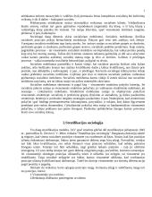 Socialinės stratifikacijos samprata 2 puslapis