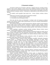 Socialinės stratifikacijos samprata 4 puslapis