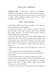 Sociologinės kultų charakteristikos bei praktikos 4 puslapis