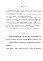 Sportinio turizmo perspektyvos Lietuvoje 6 puslapis