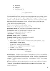 Sporto turizmas 2 puslapis