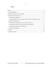 Sprendimų priėmimo proceso modeliai organizacijose 2 puslapis