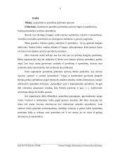 Sprendimų priėmimo proceso modeliai organizacijose 3 puslapis