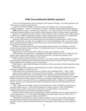 Statybiniai keramzitbetoniai blokeliai 10 puslapis