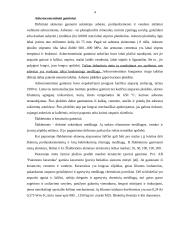 Statybinių apdailinių medžiagų išorei asortimentas 4 puslapis