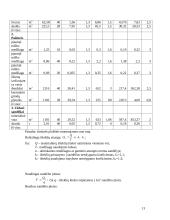 Statybos projekto organizavimas 13 puslapis