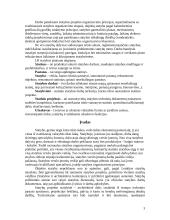 Statybos projekto organizavimas 3 puslapis