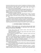 Statybos projekto organizavimas 4 puslapis