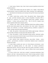 Statybų privačioje žemėje reglamentavimas 4 puslapis