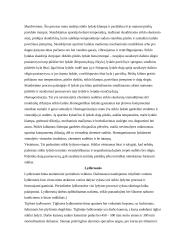 Stiklas ir jo savybės 11 puslapis