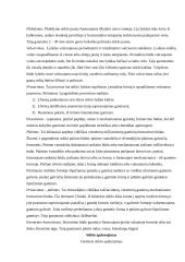 Stiklas ir jo savybės 13 puslapis