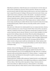 Stiklas ir jo savybės 15 puslapis