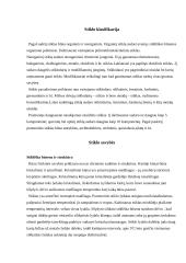 Stiklas ir jo savybės 3 puslapis