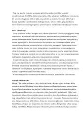 Stiklas ir jo savybės 4 puslapis