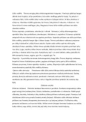 Stiklas ir jo savybės 7 puslapis