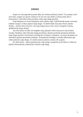 Dirbtinės stogo dangos 2 puslapis