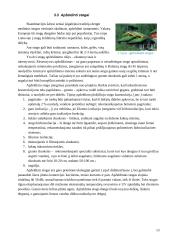 Dirbtinės stogo dangos 11 puslapis