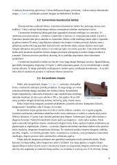 Dirbtinės stogo dangos 6 puslapis