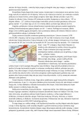 Dirbtinės stogo dangos 7 puslapis