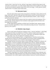 Dirbtinės stogo dangos 8 puslapis