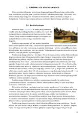 Dirbtinės stogo dangos 9 puslapis