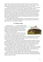 Dirbtinės stogo dangos 10 puslapis