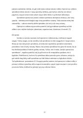 Strateginiai ir operatyvūs valdymo sprendimai: jų bendri bruožai ir ypatybės 13 puslapis