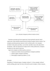 Strateginiai ir operatyvūs valdymo sprendimai: jų bendri bruožai ir ypatybės 6 puslapis