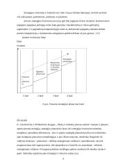 Strateginiai ir operatyvūs valdymo sprendimai: jų bendri bruožai ir ypatybės 9 puslapis