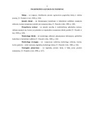 Strateginio marketingo formavimo ypatumai: gyvenamųjų namų, komercinės paskirties objektų statyba UAB "Perlas" 4 puslapis