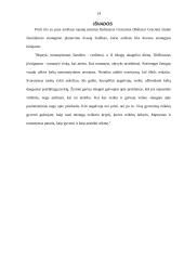 Strateginio planavimo proceso stadijos 14 puslapis