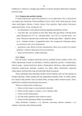 Strateginio planavimo proceso stadijos 10 puslapis