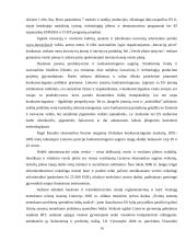 Strateginio planavimo raida Europos Sąjungoje (ES). Lisabonos strategija 14 puslapis