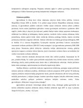 Strateginio planavimo raida Europos Sąjungoje (ES). Lisabonos strategija 15 puslapis