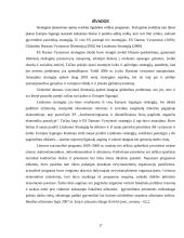 Strateginio planavimo raida Europos Sąjungoje (ES). Lisabonos strategija 17 puslapis