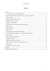 Strateginio valdymo pranašumai ir problemos: siuvimo įmonė 2 puslapis