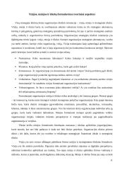 Strateginio valdymo pranašumai ir problemos: siuvimo įmonė 11 puslapis