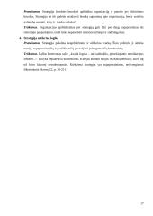 Strateginio valdymo pranašumai ir problemos: siuvimo įmonė 17 puslapis