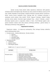 Strateginio valdymo pranašumai ir problemos: siuvimo įmonė 19 puslapis