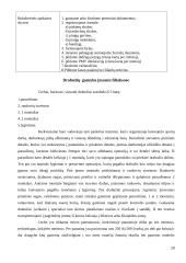 Strateginio valdymo pranašumai ir problemos: siuvimo įmonė 20 puslapis