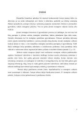 Strateginio valdymo pranašumai ir problemos: siuvimo įmonė 3 puslapis